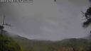 ./images/calvert/fitz-hugh-hecate/20250526/fitz-hugh-hecate20250526_203009M.jpg