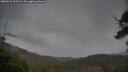 ./images/calvert/fitz-hugh-hecate/20250526/fitz-hugh-hecate20250526_203507M.jpg