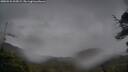 ./images/calvert/fitz-hugh-hecate/20250526/fitz-hugh-hecate20250526_205009M.jpg