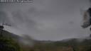 ./images/calvert/fitz-hugh-hecate/20250526/fitz-hugh-hecate20250526_210009M.jpg
