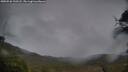 ./images/calvert/fitz-hugh-hecate/20250526/fitz-hugh-hecate20250526_210507M.jpg