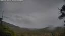 ./images/calvert/fitz-hugh-hecate/20250526/fitz-hugh-hecate20250526_211009M.jpg