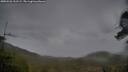 ./images/calvert/fitz-hugh-hecate/20250526/fitz-hugh-hecate20250526_211508M.jpg