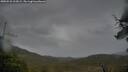 ./images/calvert/fitz-hugh-hecate/20250526/fitz-hugh-hecate20250526_212008M.jpg