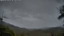 ./images/calvert/fitz-hugh-hecate/20250526/fitz-hugh-hecate20250526_212508M.jpg