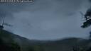 ./images/calvert/fitz-hugh-hecate/20250526/fitz-hugh-hecate20250526_214508M.jpg