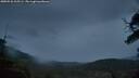 ./images/calvert/fitz-hugh-hecate/20250526/fitz-hugh-hecate20250526_215507M.jpg
