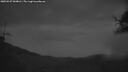 ./images/calvert/fitz-hugh-hecate/20250527/fitz-hugh-hecate20250527_044006M.jpg