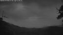 ./images/calvert/fitz-hugh-hecate/20250527/fitz-hugh-hecate20250527_044508M.jpg