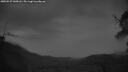 ./images/calvert/fitz-hugh-hecate/20250527/fitz-hugh-hecate20250527_045008M.jpg