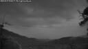 ./images/calvert/fitz-hugh-hecate/20250527/fitz-hugh-hecate20250527_050007M.jpg