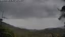 ./images/calvert/fitz-hugh-hecate/20250527/fitz-hugh-hecate20250527_055508M.jpg