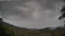 ./images/calvert/fitz-hugh-hecate/20250527/fitz-hugh-hecate20250527_060009M.jpg