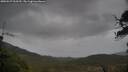 ./images/calvert/fitz-hugh-hecate/20250527/fitz-hugh-hecate20250527_060510M.jpg