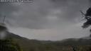 ./images/calvert/fitz-hugh-hecate/20250527/fitz-hugh-hecate20250527_061009M.jpg