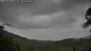 ./images/calvert/fitz-hugh-hecate/20250527/fitz-hugh-hecate20250527_064510M.jpg