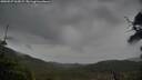 ./images/calvert/fitz-hugh-hecate/20250527/fitz-hugh-hecate20250527_065009M.jpg