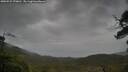 ./images/calvert/fitz-hugh-hecate/20250527/fitz-hugh-hecate20250527_070010M.jpg