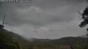 ./images/calvert/fitz-hugh-hecate/20250527/fitz-hugh-hecate20250527_071010M.jpg
