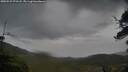 ./images/calvert/fitz-hugh-hecate/20250527/fitz-hugh-hecate20250527_072508M.jpg