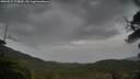 ./images/calvert/fitz-hugh-hecate/20250527/fitz-hugh-hecate20250527_073010M.jpg