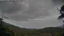 ./images/calvert/fitz-hugh-hecate/20250527/fitz-hugh-hecate20250527_073509M.jpg