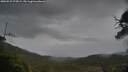 ./images/calvert/fitz-hugh-hecate/20250527/fitz-hugh-hecate20250527_074509M.jpg