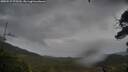 ./images/calvert/fitz-hugh-hecate/20250527/fitz-hugh-hecate20250527_075509M.jpg