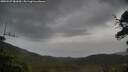 ./images/calvert/fitz-hugh-hecate/20250527/fitz-hugh-hecate20250527_081010M.jpg
