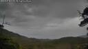 ./images/calvert/fitz-hugh-hecate/20250527/fitz-hugh-hecate20250527_081510M.jpg