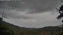./images/calvert/fitz-hugh-hecate/20250527/fitz-hugh-hecate20250527_082010M.jpg