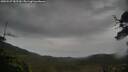 ./images/calvert/fitz-hugh-hecate/20250527/fitz-hugh-hecate20250527_082510M.jpg