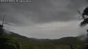 ./images/calvert/fitz-hugh-hecate/20250527/fitz-hugh-hecate20250527_083010M.jpg