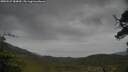 ./images/calvert/fitz-hugh-hecate/20250527/fitz-hugh-hecate20250527_084010M.jpg