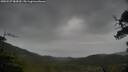 ./images/calvert/fitz-hugh-hecate/20250527/fitz-hugh-hecate20250527_084510M.jpg