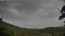 ./images/calvert/fitz-hugh-hecate/20250527/fitz-hugh-hecate20250527_085010M.jpg