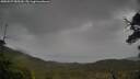 ./images/calvert/fitz-hugh-hecate/20250527/fitz-hugh-hecate20250527_085509M.jpg