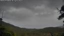 ./images/calvert/fitz-hugh-hecate/20250527/fitz-hugh-hecate20250527_090010M.jpg