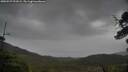 ./images/calvert/fitz-hugh-hecate/20250527/fitz-hugh-hecate20250527_091009M.jpg