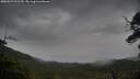 ./images/calvert/fitz-hugh-hecate/20250527/fitz-hugh-hecate20250527_091510M.jpg
