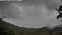 ./images/calvert/fitz-hugh-hecate/20250527/fitz-hugh-hecate20250527_093510M.jpg