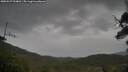 ./images/calvert/fitz-hugh-hecate/20250527/fitz-hugh-hecate20250527_094010M.jpg