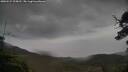 ./images/calvert/fitz-hugh-hecate/20250527/fitz-hugh-hecate20250527_095010M.jpg
