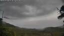 ./images/calvert/fitz-hugh-hecate/20250527/fitz-hugh-hecate20250527_100507M.jpg
