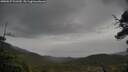 ./images/calvert/fitz-hugh-hecate/20250527/fitz-hugh-hecate20250527_101510M.jpg