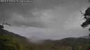 ./images/calvert/fitz-hugh-hecate/20250527/fitz-hugh-hecate20250527_102507M.jpg
