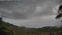 ./images/calvert/fitz-hugh-hecate/20250527/fitz-hugh-hecate20250527_103510M.jpg