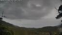 ./images/calvert/fitz-hugh-hecate/20250527/fitz-hugh-hecate20250527_104510M.jpg
