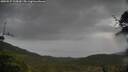 ./images/calvert/fitz-hugh-hecate/20250527/fitz-hugh-hecate20250527_105010M.jpg