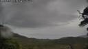 ./images/calvert/fitz-hugh-hecate/20250527/fitz-hugh-hecate20250527_110010M.jpg